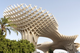 Metropol Parasol wooden structure in La Encarnación square, Seville, Spain designed by architect