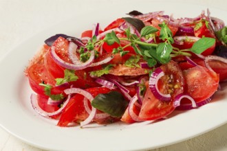 Fresh tomato salad, with red onion, spices and herbs, top view, close-up, homemade