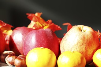 Apples and mandarins on a rustic wooden table as an autumnal motif