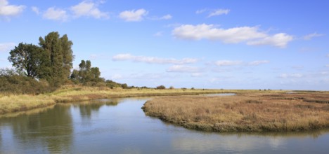 Landscape at high tide Barthorp's Creek, Hollesley Bay, near Shingle Street, Suffolk, England, UK