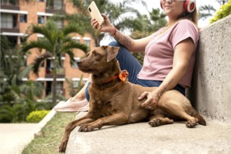 Close-up of a beautiful brown-furred dog with an orange-colored bandana and a bindi on its