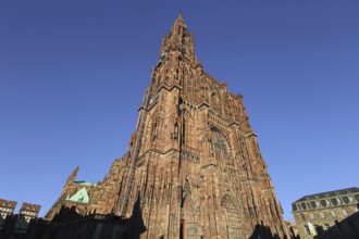 The famous Strasbourg Cathedral