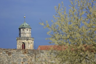 Tower of St George's Church and shrub in bloom in spring, light mood, spire, town wall,