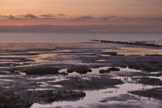 Groynes in the evening landscape shortly after sunset at low tide in the Wadden Sea National Park