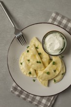 Pierogi, a traditional dish of Polish cuisine, dumplings, top view, close-up, no people