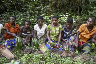 Pygmy woman from the Baka or BaAka people swear to hunt, hunting magic, net hunting, Dzanga-Sangha