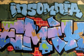 Graffiti in blue and pink tones with the lettering 'insomnia', Landau, Rhineland-Palatinate,