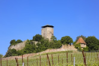 Hohenbeilstein Castle, hilltop castle, Beilstein, Heilbronn district, Baden-Württemberg, Germany,