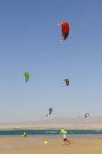 Sailing kitesurfer kite surfer kite surfer on the sea, five kite sails in the blue sky without