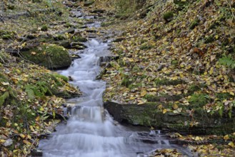 Klidinger Bach in autumn, Vulkaneifel, Rhineland-Palatinate, Germany, Europe