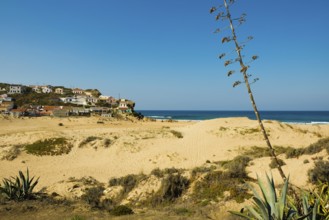 Colourful holiday homes and beach, Monte Clérigo, Atlantic coast, Algarve, Portugal, Europe