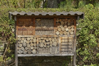 Insect hotel for solitary bees and artificial nesting site for other insects and invertebrates with