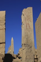 Luxor, Karnak Temple, obelisk and columns with depictions in the temple complex in Karnak, Africa,