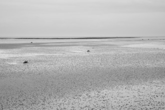 Wadden Sea at low tide with numerous piles of lugworms, two buoys, black and white, Utersum, Föhr,