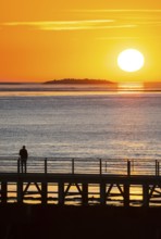 Silhouette of a person on the pier Freilaufkanal, person watching from a jetty the picturesque,