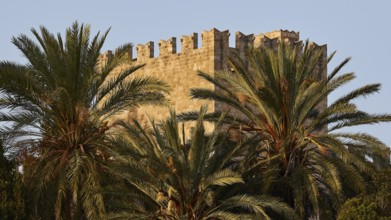 City wall, Tower with battlements, Palm trees, Remarkable fortress with battlements, surrounded by