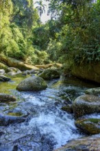 River crossing the tropical forest among the rocks and vegetation in Ilhabela, Ilhabela, Sao Paulo,