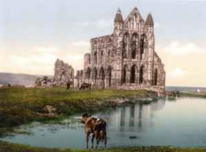 Whitby Abbey, Whitby Abbey, a former monastery in Whitby, a historic harbour town on the North Sea