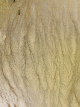 Marshland at low tide. Nature Reserve La Breña y Marismas del Barbate. Aerial view. Drone shot.