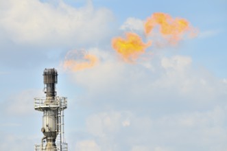 Gas flare of the Schwelgern coking plant, ThyssenKrupp Stahl AG Hamborn site, Duisburg, North