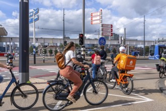 Cyclist, moped rider, waiting at a red traffic light, Feijenoord, in front of the Erasmus Bridge,