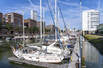 Rotterdam Marina, sports boat harbour, sailing boats, motor yachts, in the inland harbour,