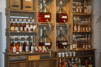 Assortment of bottles of rum in the rum museum in Flensburg, Schleswig-Holstein, Germany, Europe