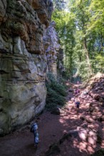 The Devil's Gorge, narrow, accessible gorge of sandstone rocks, with steep rocky gorges, near