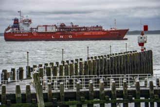 The LNG tanker Coral Furcata, in the Westerschelde, has left the port of Antwerp and is heading for