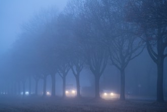 Country road B 57 near Erkelenz, autumn, fog, rainy weather, tree-lined avenue, wet road, North