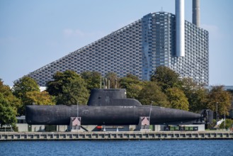 CopenHill, waste incineration plant and artificial ski slope, 90 metres high and 400 metres long