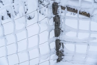 Snow-covered and icy fence, winter in Sauerland, Hochsauerlandkreis, at Kahler Asten, near