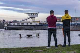 Flood on the Rhine, flooded banks of the Rhine, old ferry landing stage, Rhine meadows, near