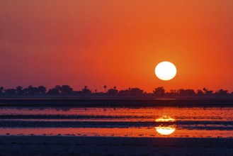 Sunset in Senegal, bird colony, Kousmar, Ndiaffate, Senegal, Africa