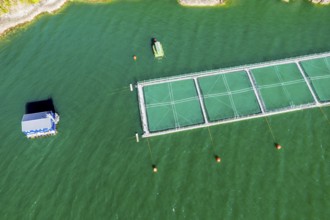 Aerial view of salmon farm in the Reloncavi fjord southeast of Puerto Montt, Chile, South America