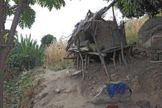 South Ethiopia, shelter for animals in a small Ari village, Ari Village near Jinka, Ethiopia,