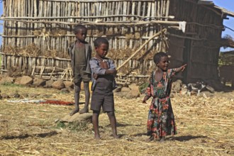 Amhara region, simple family, small farm, happy children, Ethiopia, Africa