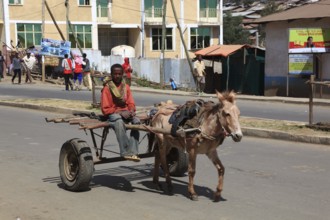 In the highlands of Abyssinia, in the Semien Mountains, Semien Mountains, village of Debark, street