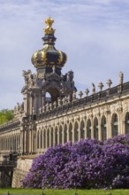 The lilacs bloom magnificently at the Zwinger moat, Dresden, Saxony, Germany, Europe