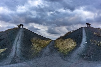 Rungenberg spoil tip in the Buer district, Night Sign light installation, Gelsenkirchen, North