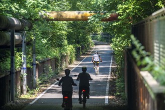 Cycling in the Ruhr area, Lothringentrasse, in the north of Bochum, Bochum-Grumme, former railway