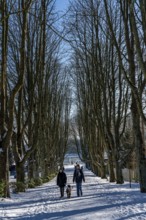 Winter in the Ruhr area, Lake Baldeney, snow-covered, partly frozen lake, tree-lined avenue to the