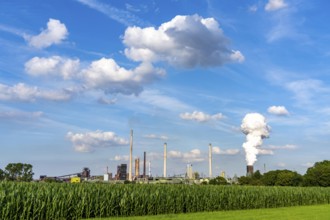 Fields in the Orsoyer Rheinbogen, left bank of the Rhine, in the background the ThyssenKrupp Steel