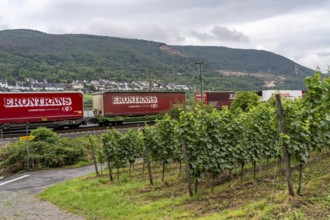 Upper Middle Rhine Valley, railway line on the right bank of the Rhine, goods train line, up to 400