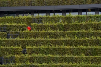 Green façade, made of over 30, 000 hornbeams forming a hedge a good 8 kilometres long, on the roof