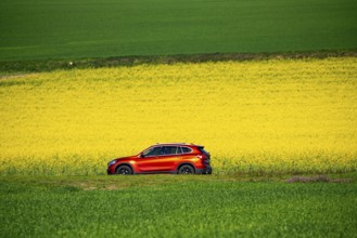 Country road by a flowering rape field, landscape near Mülheim an der Ruhr, Germany, Europe