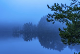 Lake Rursee in the Eifel, reservoir, upper lake, in winter, fog, near Heimbach, North