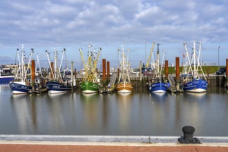 Fishing boats, shrimp boats in the harbour of Norddeich, Lower Saxony, Germany, Europe