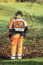 Leaf blower, removal of autumn leaves in a municipal park, Duisburg, North Rhine-Westphalia,