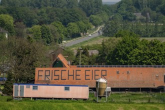 Farm near Xanten, sells fresh eggs from the farm, farm shop, Höhnshof, advertising on the red